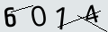 verifycode